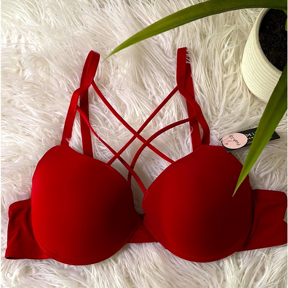 Youmita Garnet Plunge Cage Front Push Up 36C Bra